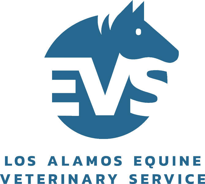 Equine Veterinarian in Los Alamos, NM